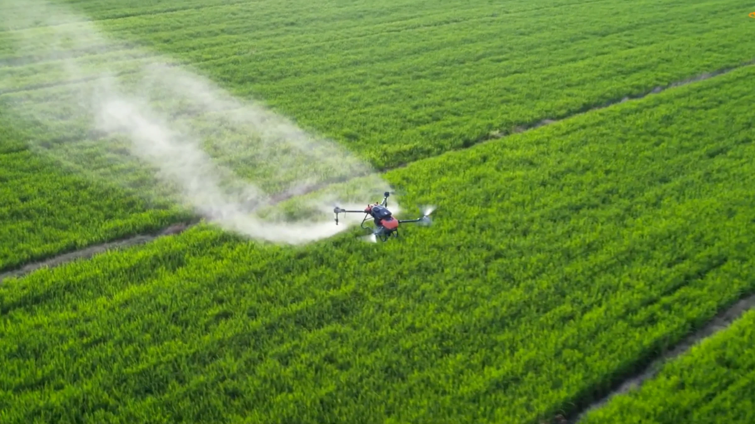 Agricultural drone spraying a cultivated field